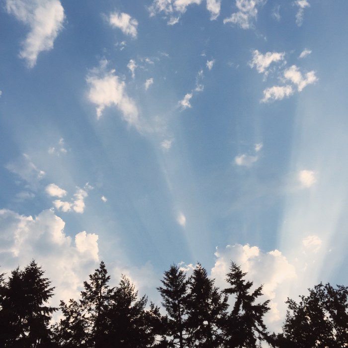 Processed with VSCOcam with kk2 preset