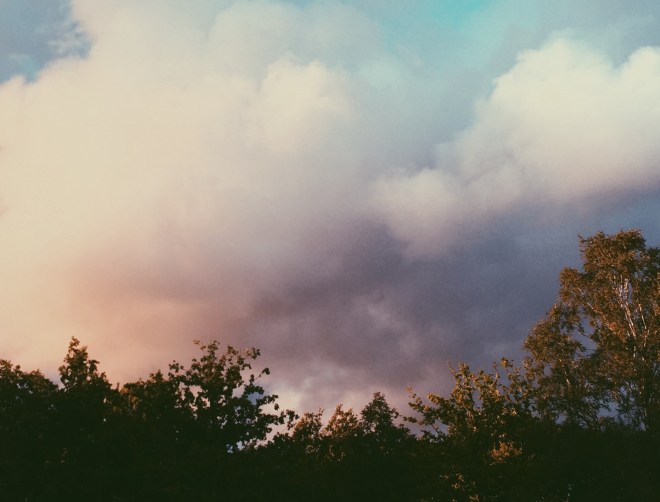 Processed with VSCOcam with p5 preset