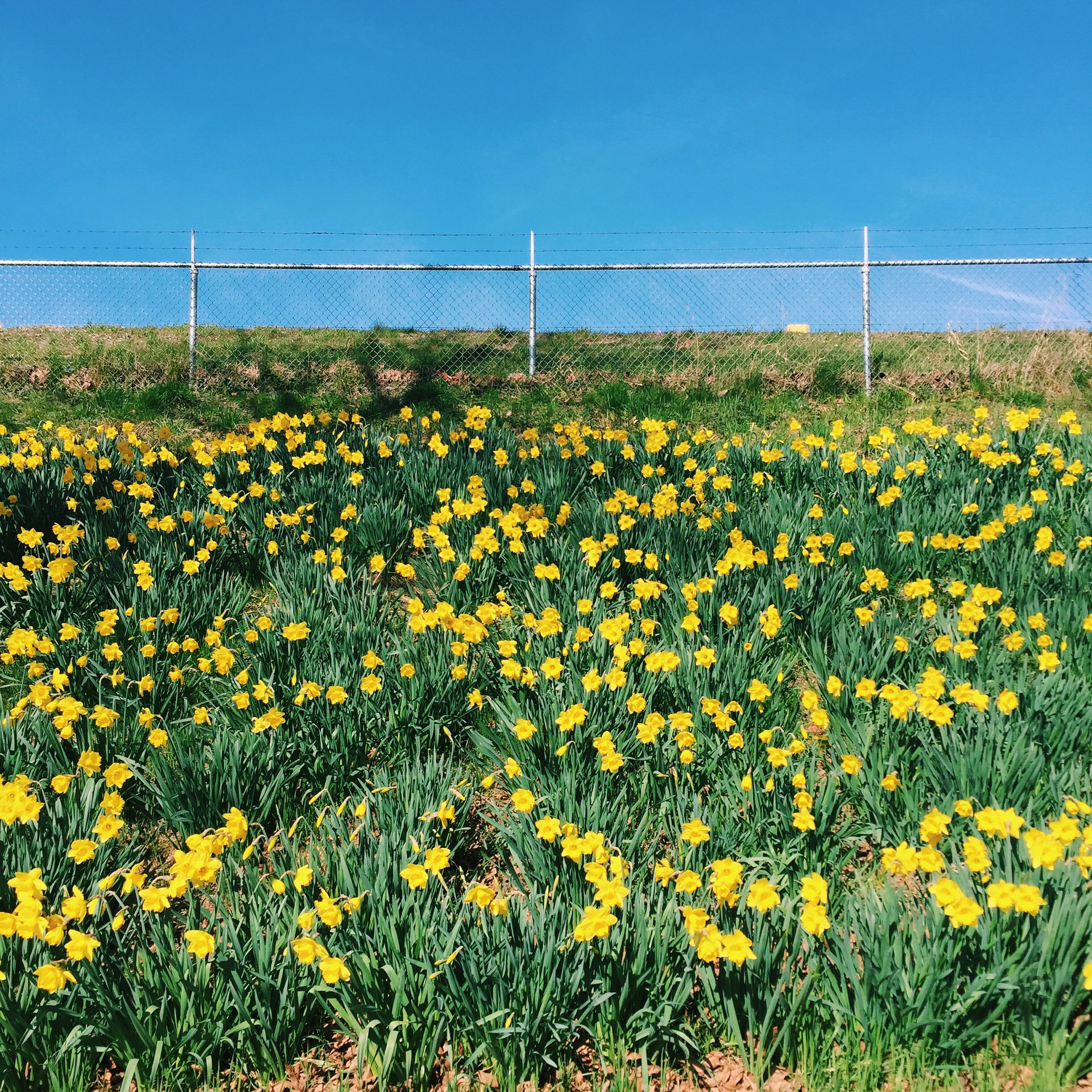 Processed with VSCO with c1 preset