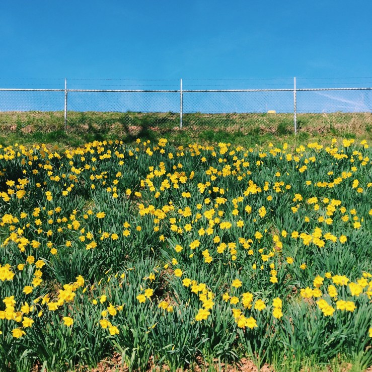 Processed with VSCO with c1 preset