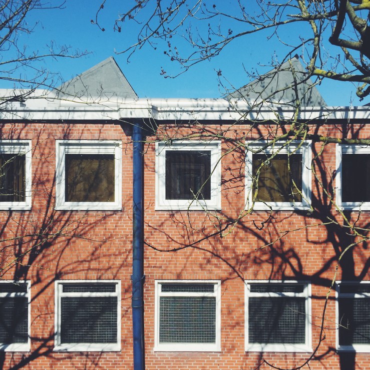 Processed with VSCO with f2 preset